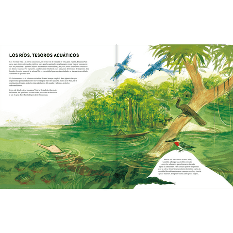 Amazonas