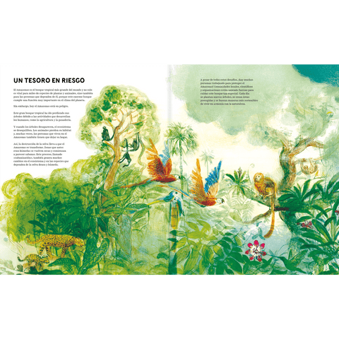 Amazonas